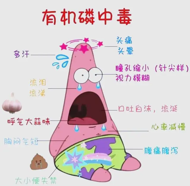 科技講堂丨有機磷類農藥：高效廣譜的殺蟲劑
